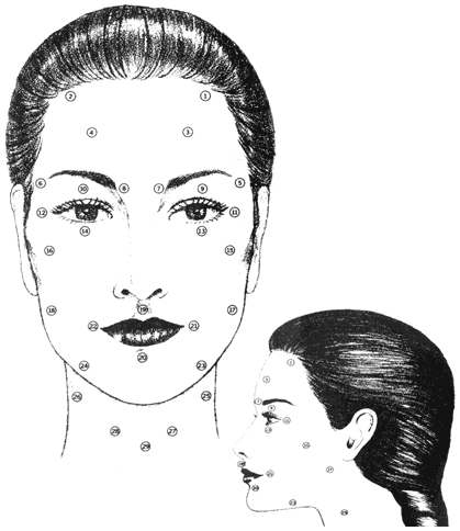 Acupressure Facial Points Chart